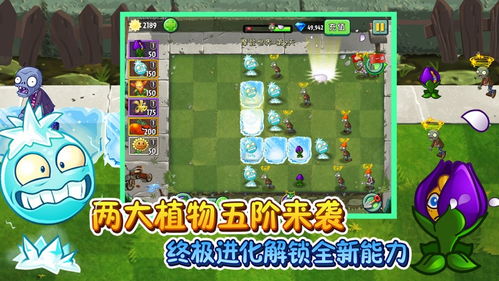 植物娘大战僵尸重制版无限金币版下载-植物娘大战僵尸重制版中文版无广告下载v.2.62